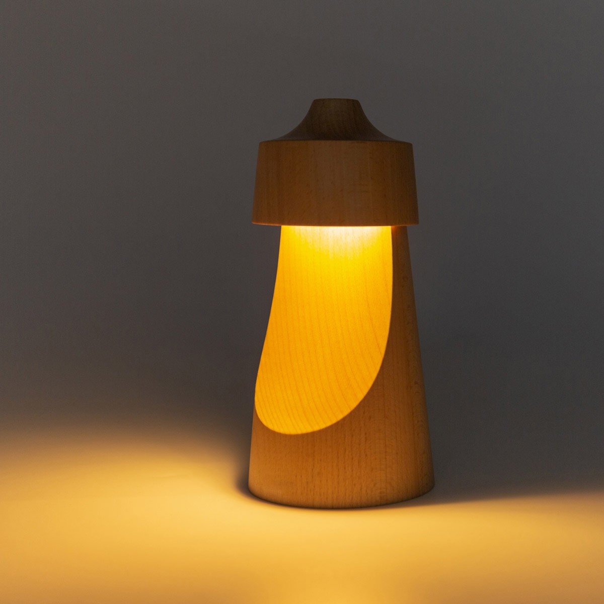 Good Quality Rechargeable Night Light Dimmable Beech Wood LED
